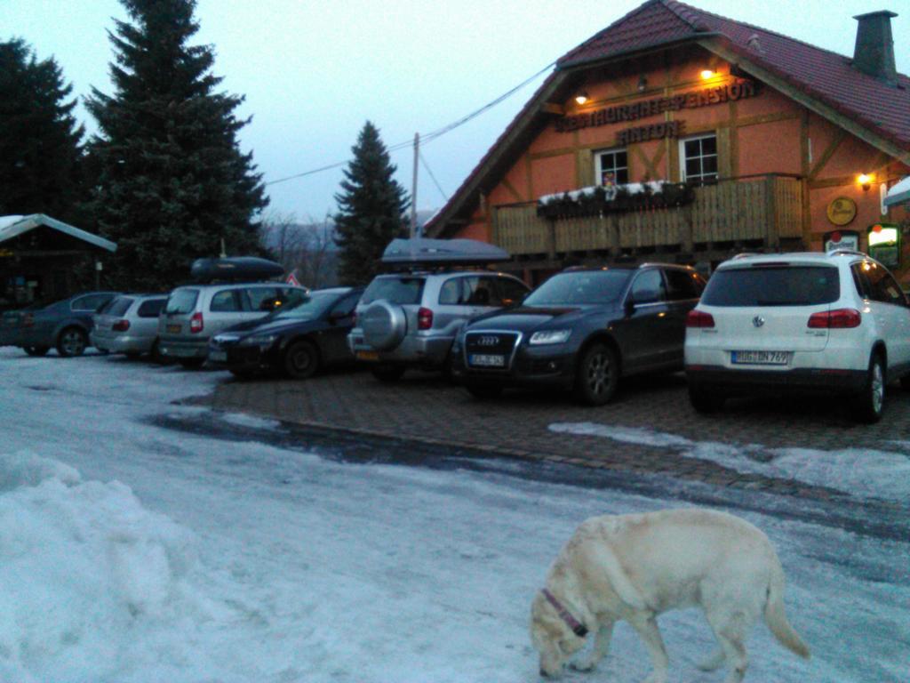 Restaurant Pension-Anton Jáchymov Exterior foto
